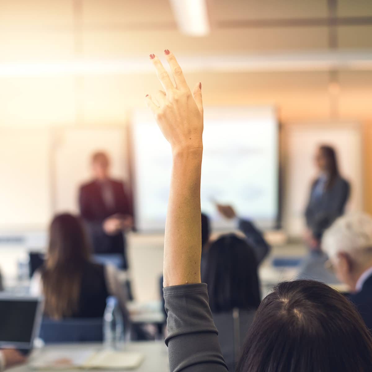 Workshops and Consulting Image